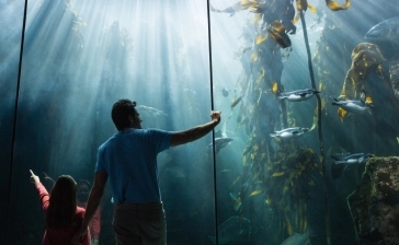 The Florida Aquarium