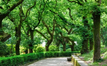 Parque da Alameda (Santiago de Compostela)