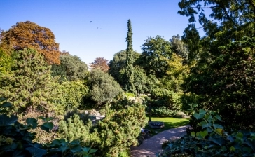 Orto Botanico di Palermo