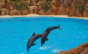 SeaWorld San Diego