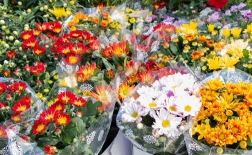Bloemenmarkt