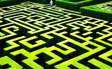 Alice's Curious Labyrinth