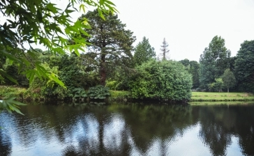 Lettuce Lake Park