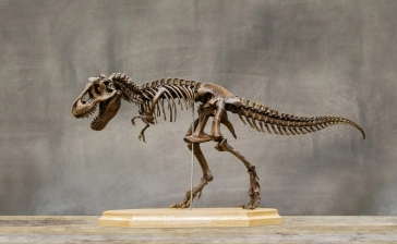 National Museum of Scotland