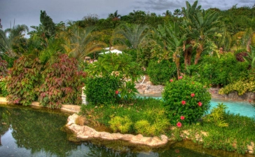 Jungle Park