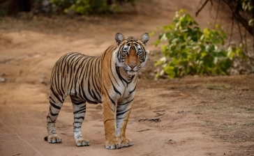 San Diego Zoo