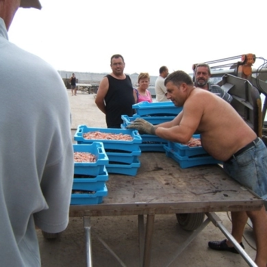 Confraria de Pescadors de Blanes