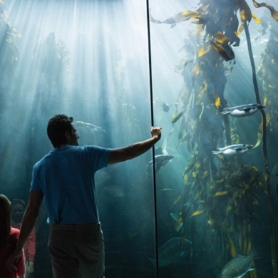 The Florida Aquarium