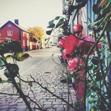 Black Heritage Trail