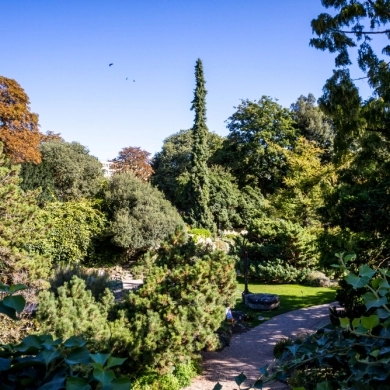 Orto Botanico di Palermo