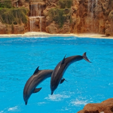 SeaWorld San Diego
