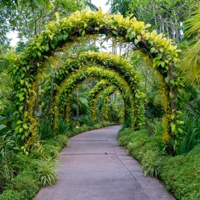 Botanical Garden
