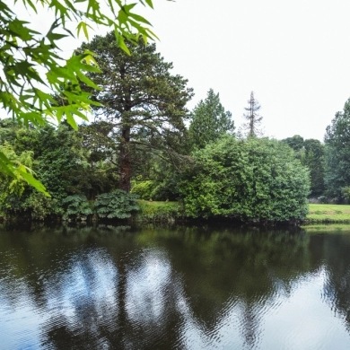Lettuce Lake Park