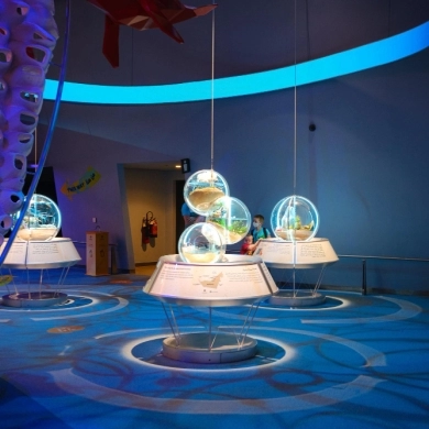 Museum of Science & Industry