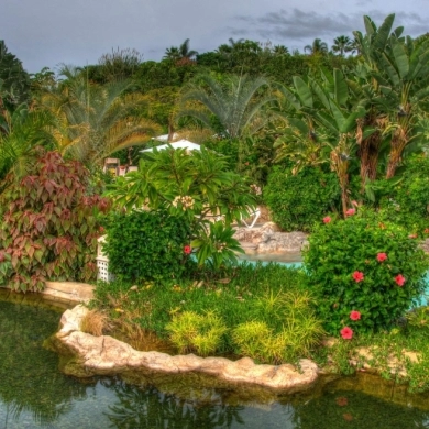 Jungle Park