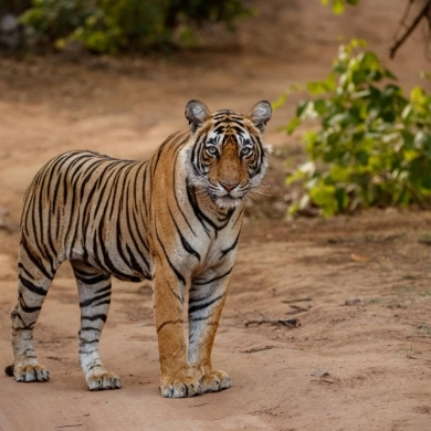 San Diego Zoo