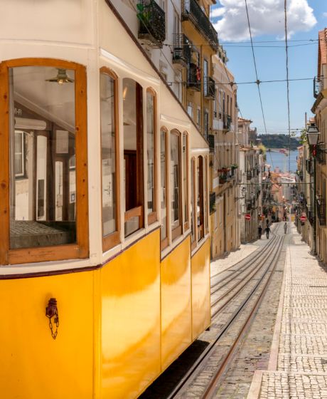 Aluguer de cadeiras de rodas, scooters de mobilidade, camas articuladas e guindastes de transferência em Lisboa
