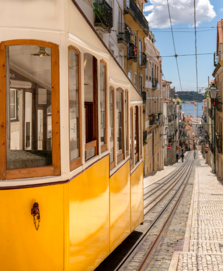 Rental of wheelchairs, mobility scooters, adjustable beds, and transfer hoists in Lisbon