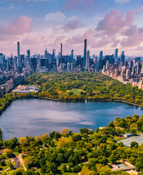 Rental of wheelchairs, mobility scooters, adjustable beds, and transfer hoists in New York