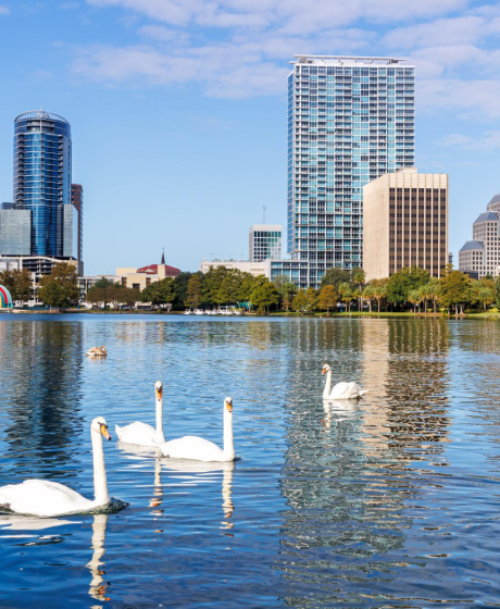 Rental of wheelchairs, mobility scooters, adjustable beds, and transfer hoists in Orlando