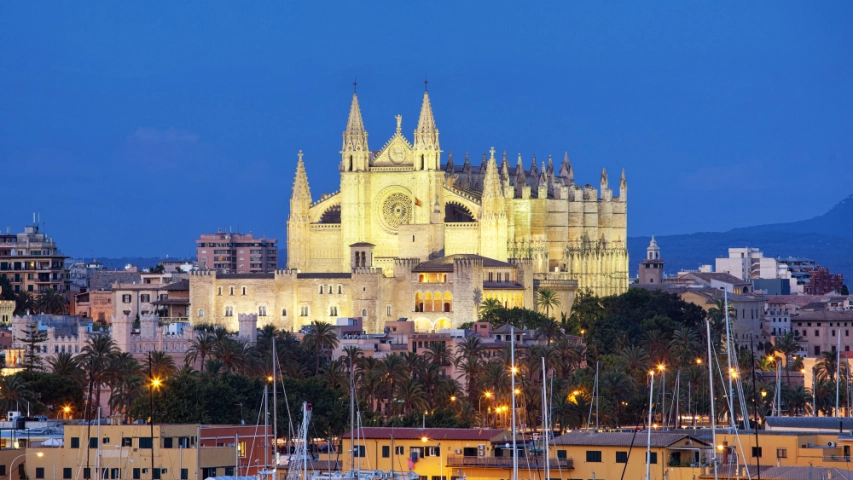 Accessibility guide to Palma